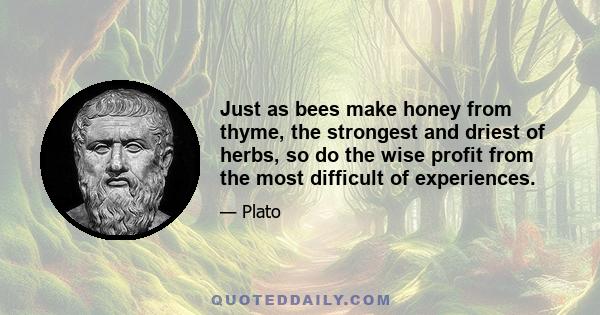 Just as bees make honey from thyme, the strongest and driest of herbs, so do the wise profit from the most difficult of experiences.