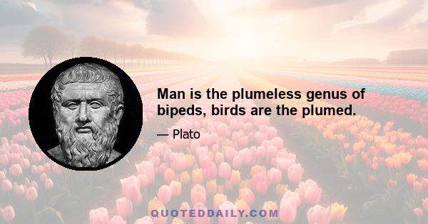 Man is the plumeless genus of bipeds, birds are the plumed.