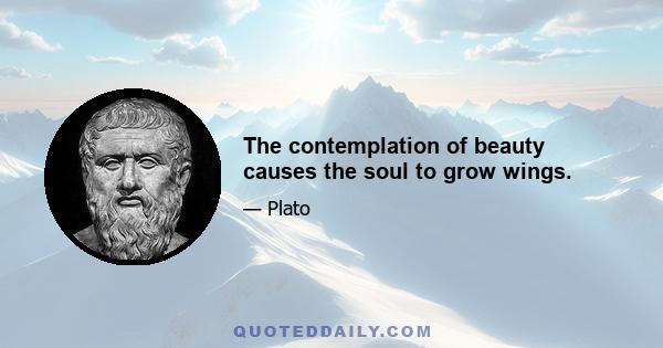 The contemplation of beauty causes the soul to grow wings.