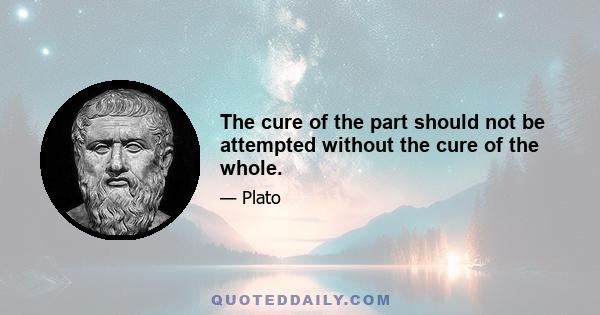 The cure of the part should not be attempted without the cure of the whole.