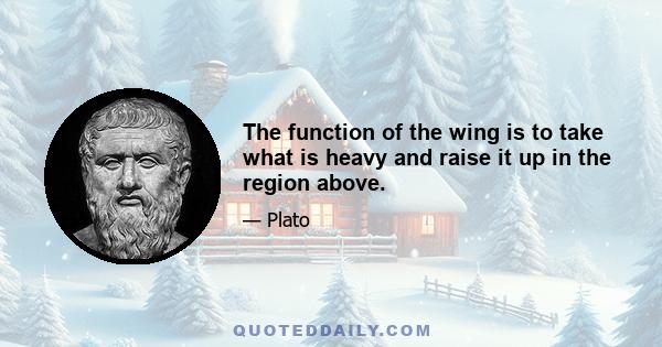 The function of the wing is to take what is heavy and raise it up in the region above.