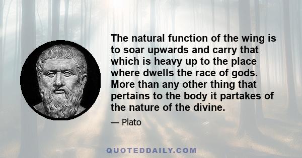 The natural function of the wing is to soar upwards and carry that which is heavy up to the place where dwells the race of gods. More than any other thing that pertains to the body it partakes of the nature of the