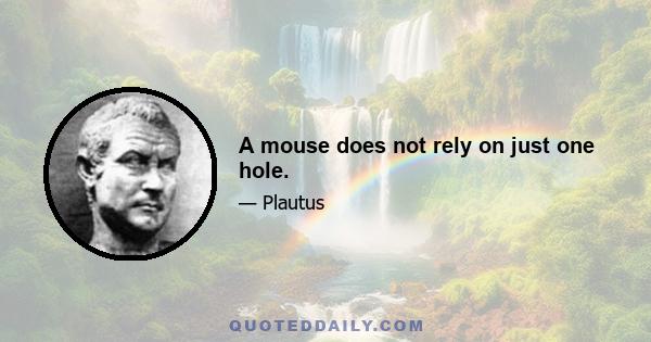 A mouse does not rely on just one hole.