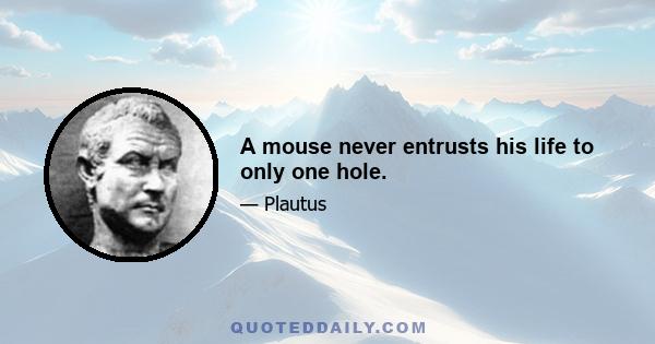 A mouse never entrusts his life to only one hole.