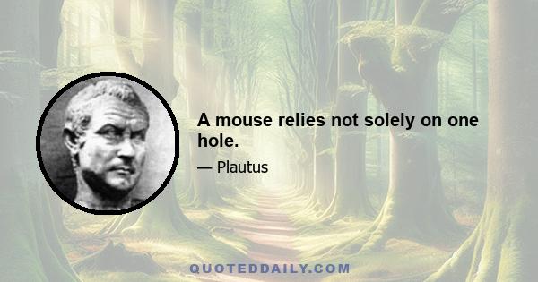 A mouse relies not solely on one hole.