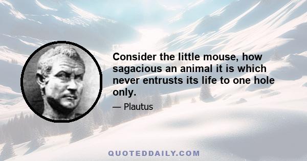 Consider the little mouse, how sagacious an animal it is which never entrusts its life to one hole only.