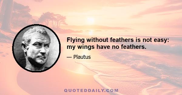 Flying without feathers is not easy: my wings have no feathers.