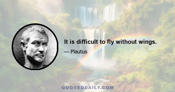 It is difficult to fly without wings.