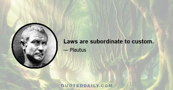 Laws are subordinate to custom.