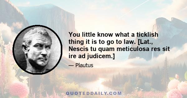 You little know what a ticklish thing it is to go to law. [Lat., Nescis tu quam meticulosa res sit ire ad judicem.]