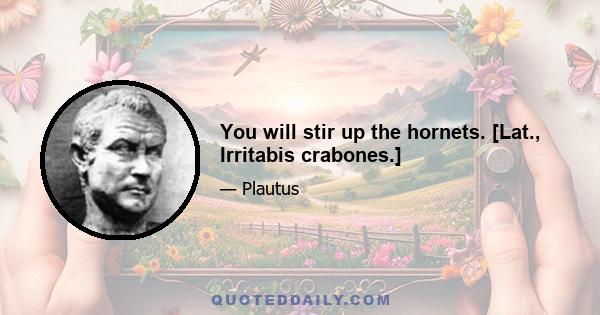 You will stir up the hornets. [Lat., Irritabis crabones.]