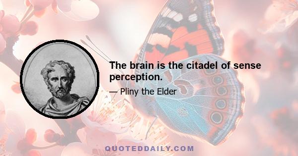 The brain is the citadel of sense perception.