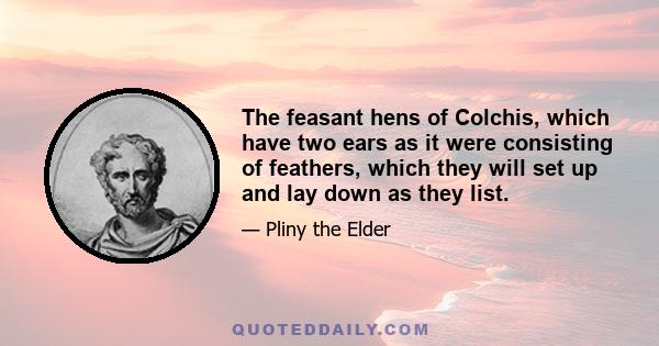 The feasant hens of Colchis, which have two ears as it were consisting of feathers, which they will set up and lay down as they list.