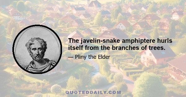 The javelin-snake amphiptere hurls itself from the branches of trees.