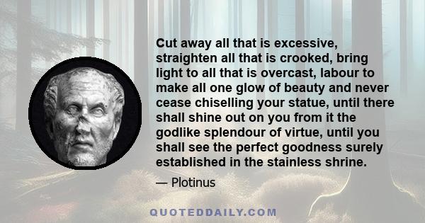 Cut away all that is excessive, straighten all that is crooked, bring light to all that is overcast, labour to make all one glow of beauty and never cease chiselling your statue, until there shall shine out on you from