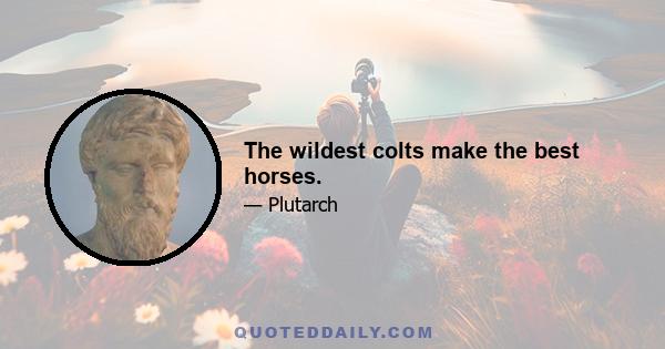 The wildest colts make the best horses.