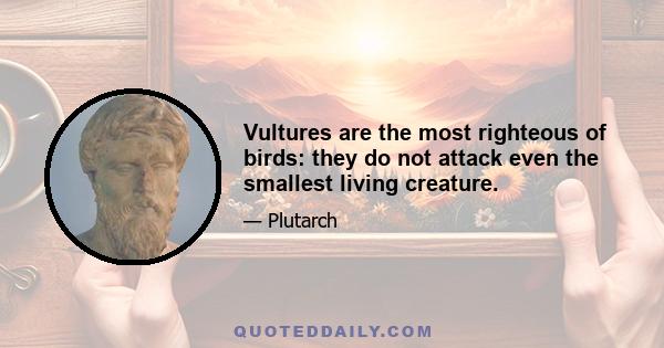 Vultures are the most righteous of birds: they do not attack even the smallest living creature.