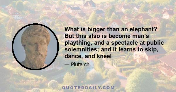 What is bigger than an elephant? But this also is become man's plaything, and a spectacle at public solemnities; and it learns to skip, dance, and kneel