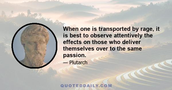 When one is transported by rage, it is best to observe attentively the effects on those who deliver themselves over to the same passion.