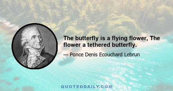 The butterfly is a flying flower, The flower a tethered butterfly.