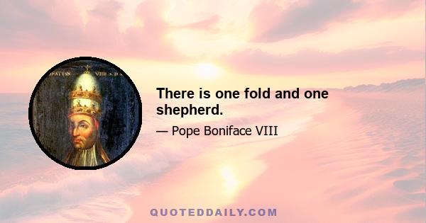 There is one fold and one shepherd.