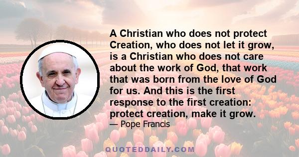 A Christian who does not protect Creation, who does not let it grow, is a Christian who does not care about the work of God, that work that was born from the love of God for us. And this is the first response to the