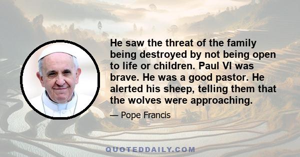 He saw the threat of the family being destroyed by not being open to life or children. Paul VI was brave. He was a good pastor. He alerted his sheep, telling them that the wolves were approaching.