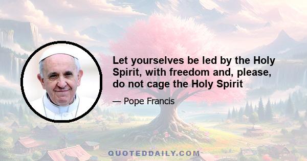 Let yourselves be led by the Holy Spirit, with freedom and, please, do not cage the Holy Spirit