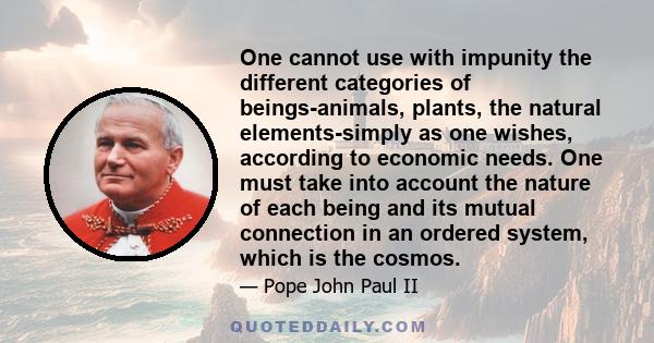 One cannot use with impunity the different categories of beings-animals, plants, the natural elements-simply as one wishes, according to economic needs. One must take into account the nature of each being and its mutual 