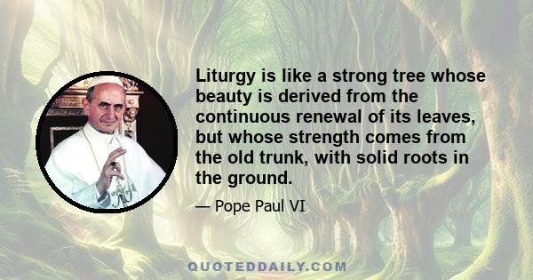 Liturgy is like a strong tree whose beauty is derived from the continuous renewal of its leaves, but whose strength comes from the old trunk, with solid roots in the ground.