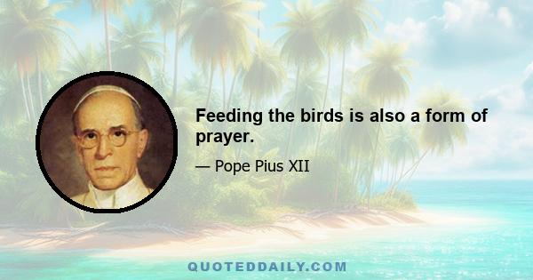 Feeding the birds is also a form of prayer.