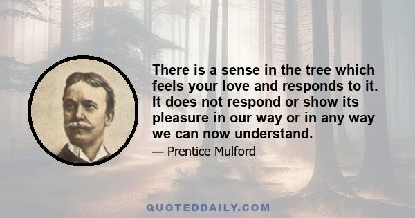 There is a sense in the tree which feels your love and responds to it. It does not respond or show its pleasure in our way or in any way we can now understand.