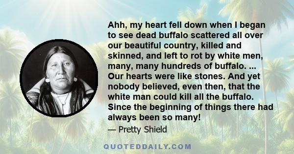 Ahh, my heart fell down when I began to see dead buffalo scattered all over our beautiful country, killed and skinned, and left to rot by white men, many, many hundreds of buffalo. ... Our hearts were like stones. And