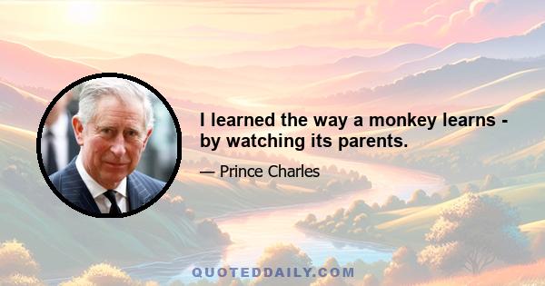 I learned the way a monkey learns - by watching its parents.