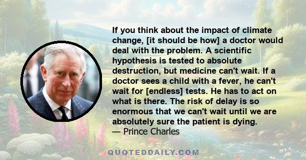 If you think about the impact of climate change, [it should be how] a doctor would deal with the problem. A scientific hypothesis is tested to absolute destruction, but medicine can't wait. If a doctor sees a child with 