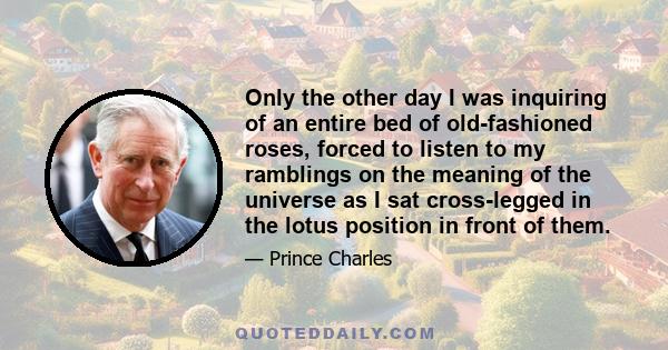 Only the other day I was inquiring of an entire bed of old-fashioned roses, forced to listen to my ramblings on the meaning of the universe as I sat cross-legged in the lotus position in front of them.