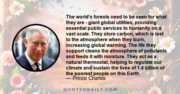 The world's forests need to be seen for what they are - giant global utilities, providing essential public services to humanity on a vast scale. They store carbon, which is lost to the atmosphere when they burn,