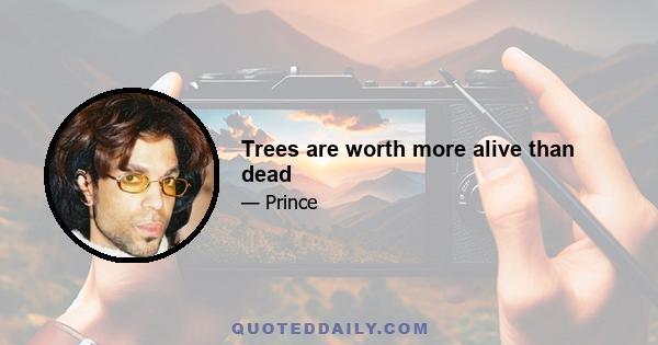 Trees are worth more alive than dead