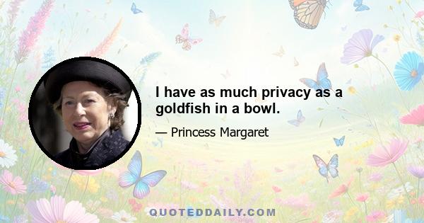 I have as much privacy as a goldfish in a bowl.