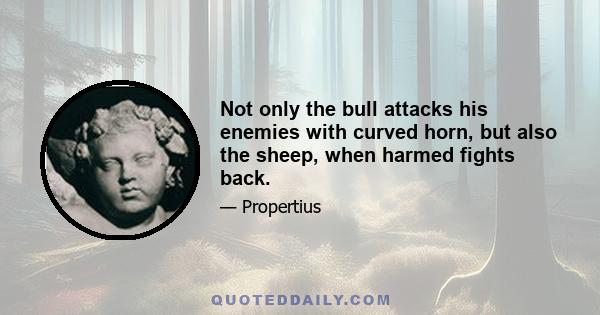 Not only the bull attacks his enemies with curved horn, but also the sheep, when harmed fights back.