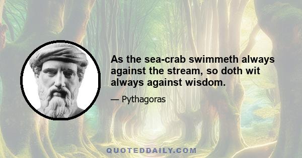 As the sea-crab swimmeth always against the stream, so doth wit always against wisdom.