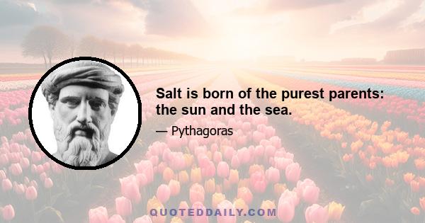 Salt is born of the purest parents: the sun and the sea.