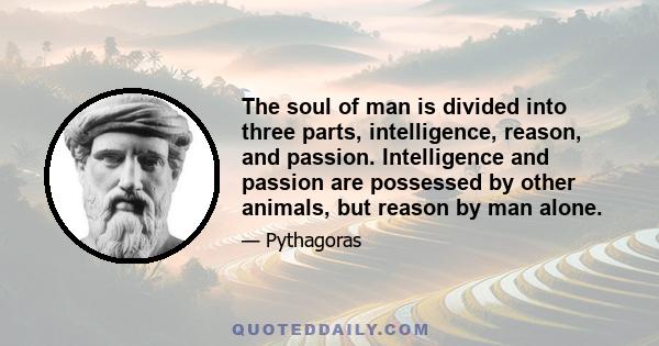 The soul of man is divided into three parts, intelligence, reason, and passion. Intelligence and passion are possessed by other animals, but reason by man alone.