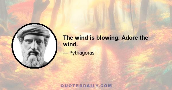 The wind is blowing. Adore the wind.