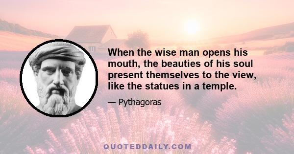 When the wise man opens his mouth, the beauties of his soul present themselves to the view, like the statues in a temple.