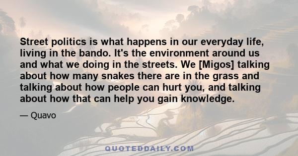 Street politics is what happens in our everyday life, living in the bando. It's the environment around us and what we doing in the streets. We [Migos] talking about how many snakes there are in the grass and talking