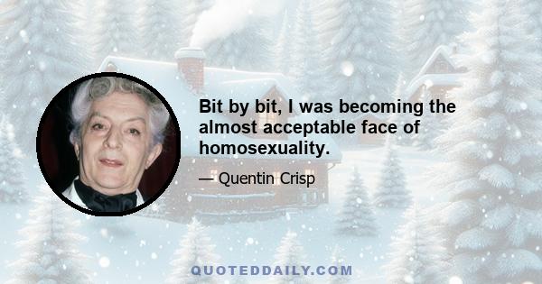 Bit by bit, I was becoming the almost acceptable face of homosexuality.