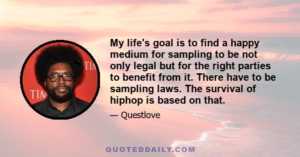 My life's goal is to find a happy medium for sampling to be not only legal but for the right parties to benefit from it. There have to be sampling laws. The survival of hiphop is based on that.