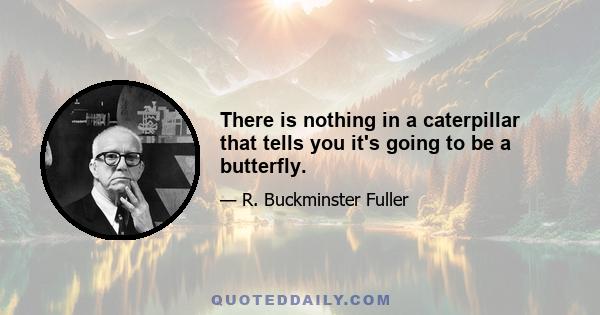 There is nothing in a caterpillar that tells you it's going to be a butterfly.