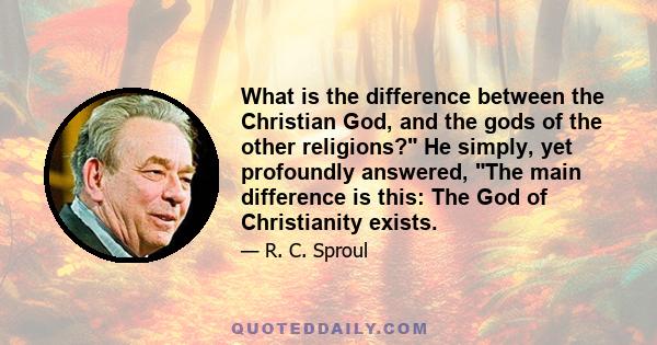 What is the difference between the Christian God, and the gods of the other religions? He simply, yet profoundly answered, The main difference is this: The God of Christianity exists.